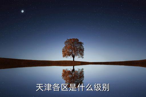 天津各區是什么級別