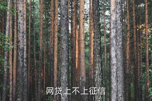 p2p網貸什么時候上征信,網貸上不上征信