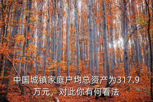 中國(guó)城鎮(zhèn)家庭戶均總資產(chǎn)為317.9萬元，對(duì)此你有何看法