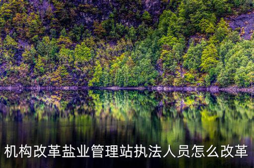 鹽業改革人員怎么安排,鹽業機構改革人員怎么安排