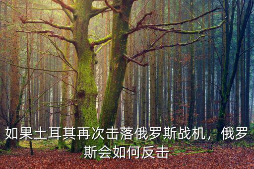 土耳其擊落俄羅斯戰機后會怎么樣,俄羅斯為什么不敢報復土耳其