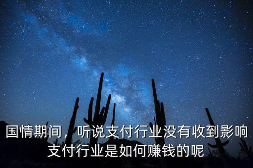國情期間，聽說支付行業沒有收到影響支付行業是如何賺錢的呢