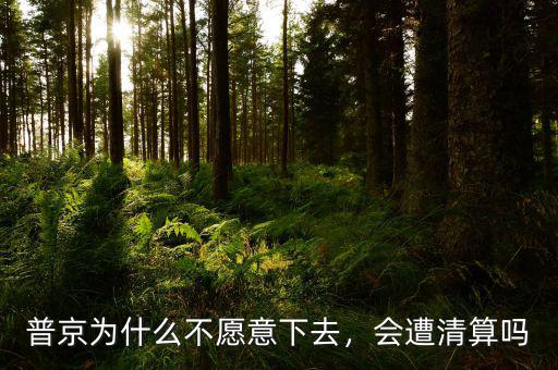 普京為什么不愿意下去，會(huì)遭清算嗎