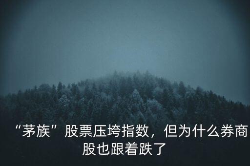 “茅族”股票壓垮指數，但為什么券商股也跟著跌了