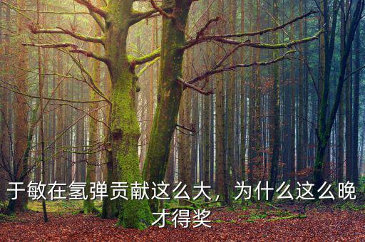 于敏在氫彈貢獻這么大，為什么這么晚才得獎