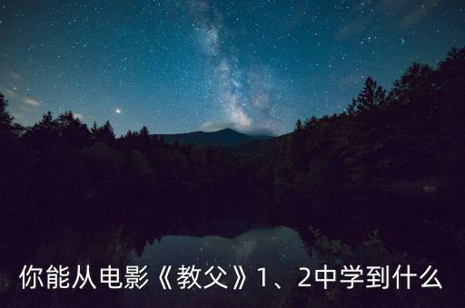 你能從電影《教父》1、2中學到什么
