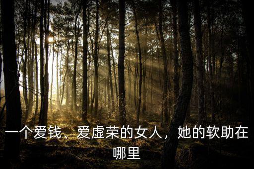 一個愛錢、愛虛榮的女人，她的軟助在哪里