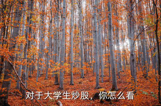 對(duì)于大學(xué)生炒股，你怎么看