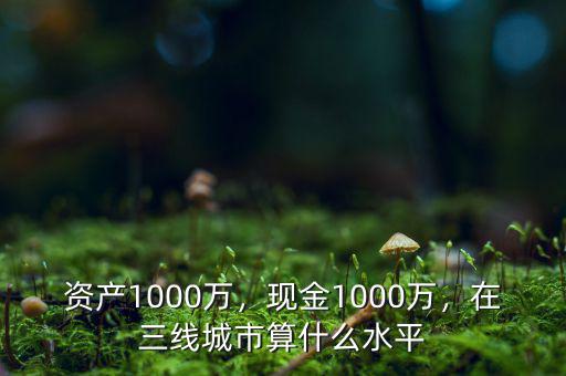 資產1000萬，現金1000萬，在三線城市算什么水平