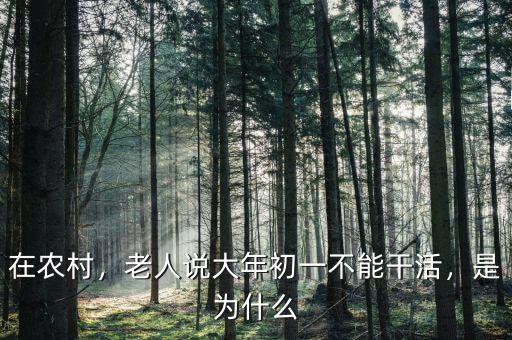 在農村，老人說大年初一不能干活，是為什么