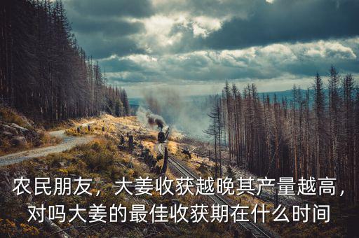 什么時候的姜稱老姜,什么季節挖姜最好