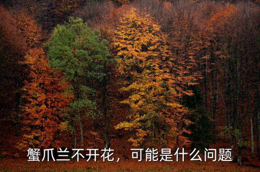 三月蘭是什么,蘭花是什么季節的花呢
