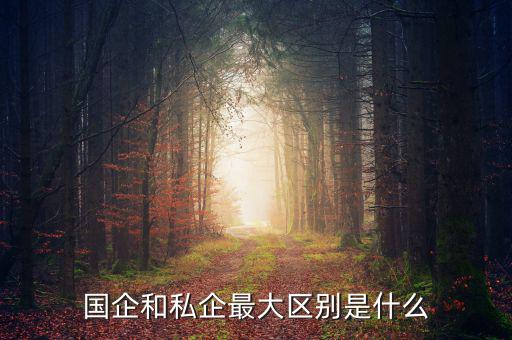 國企和私企最大區別是什么