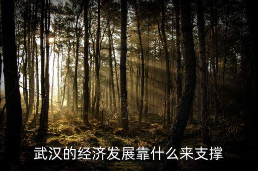 武漢的經濟發展靠什么來支撐