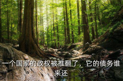一個國家的政權被推翻了，它的債務誰來還