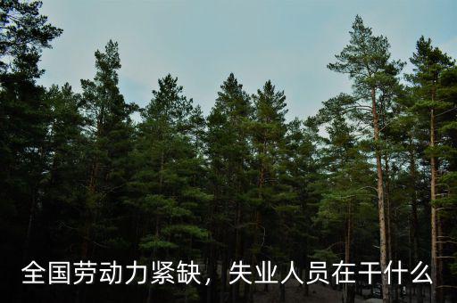 勞動力不足為什么還會失業,為什么大學生畢業即失業