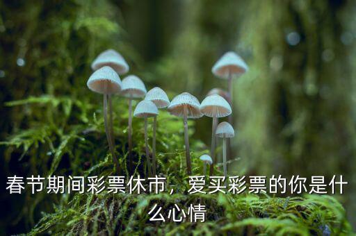 春節彩票為什么休市,春節期間彩票休市