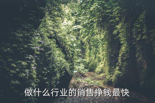 做什么樣的銷售公司賺錢,你覺得跑什么業務比較賺錢呢