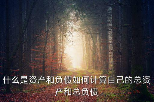 錢寶總資產是什么意思,你知道什么是資產