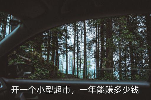 開一個小型超市，一年能賺多少錢