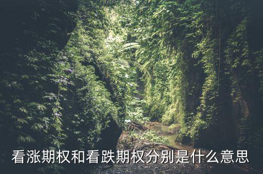 看漲期權和看跌期權分別是什么意思