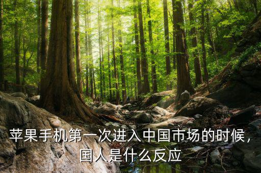 蘋果手機(jī)第一次進(jìn)入中國市場的時(shí)候，國人是什么反應(yīng)
