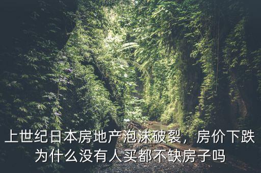 上世紀日本房地產泡沫破裂，房價下跌為什么沒有人買都不缺房子嗎