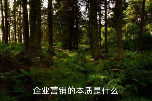 企業(yè)營(yíng)銷(xiāo)的本質(zhì)是什么