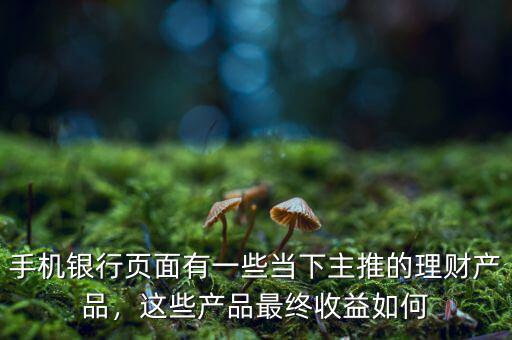 手機銀行頁面有一些當下主推的理財產品，這些產品最終收益如何
