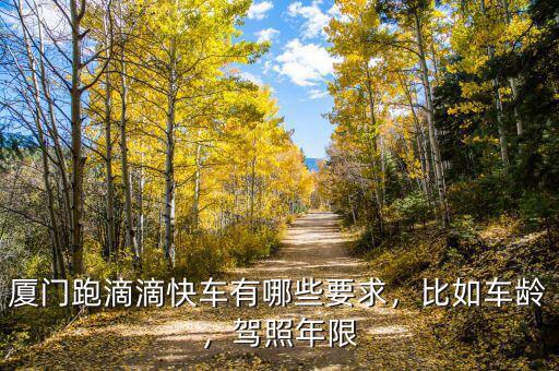 廈門跑滴滴快車有哪些要求，比如車齡，駕照年限