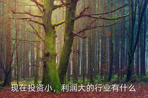 現(xiàn)在投資小，利潤大的行業(yè)有什么