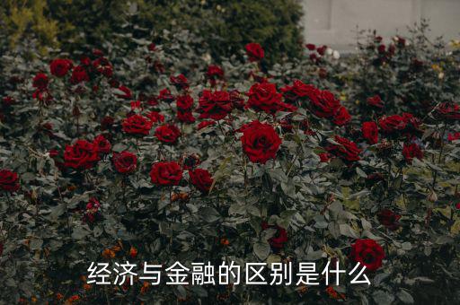 經濟與金融是什么,金融學和經濟學的區別是什么