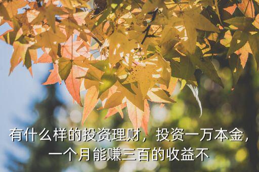 有什么樣的投資理財，投資一萬本金，一個月能賺三百的收益不