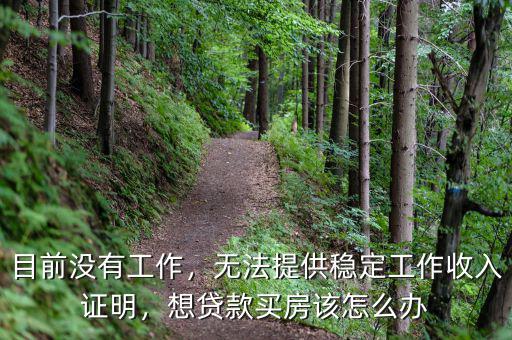 目前沒有工作，無法提供穩定工作收入證明，想貸款買房該怎么辦