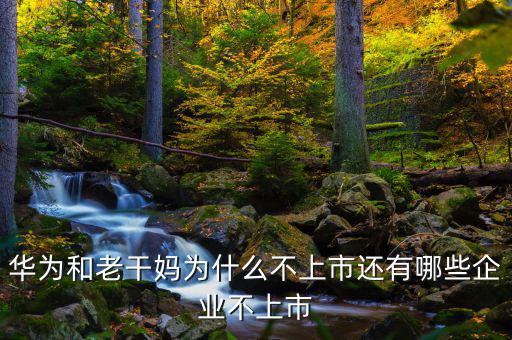 煙草為什么不上市,還有哪些企業不上市