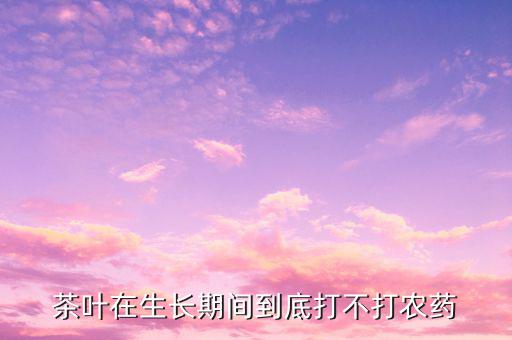 什么花茶不打農藥,茶葉種植過程是否需要打農藥