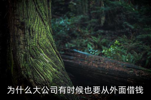 為什么大公司有時(shí)候也要從外面借錢(qián)