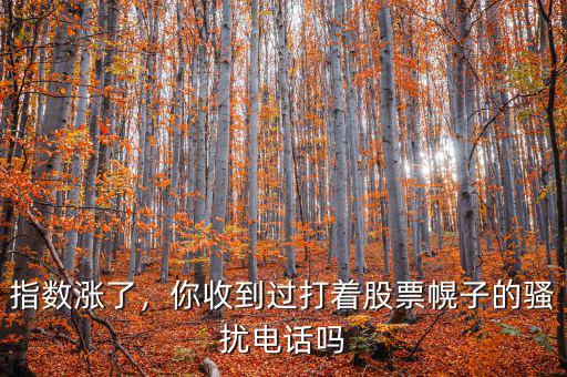 指數(shù)漲了，你收到過打著股票幌子的騷擾電話嗎