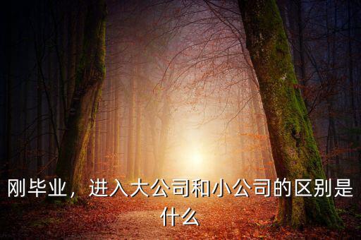 加爾布雷斯認為什么是公司,企業發展之本是什么