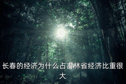 長春新區經濟占長春的多少,長春的新區是哪個區