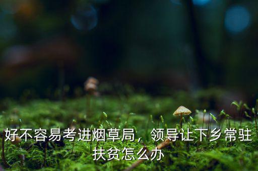 好不容易考進煙草局，領導讓下鄉常駐扶貧怎么辦