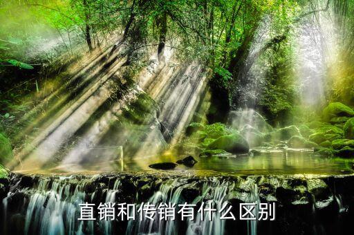 傳銷和直銷的區別是什么,直銷和傳銷有什么區別