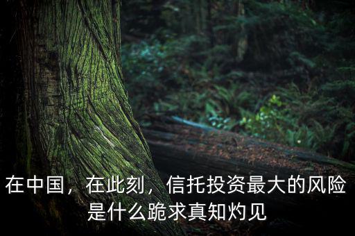 在中國，在此刻，信托投資最大的風險是什么跪求真知灼見