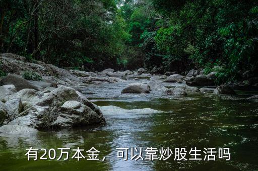 有多少錢可以職業炒股,4萬塊錢可以職業炒股嗎