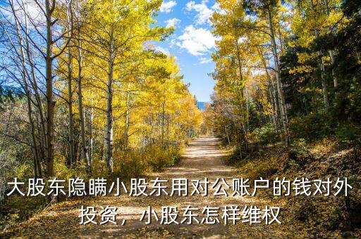 大股東隱瞞小股東用對公賬戶的錢對外投資，小股東怎樣維權
