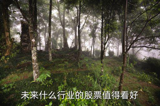 2015年什么行業股票前景好,未來什么行業的股票值得看好