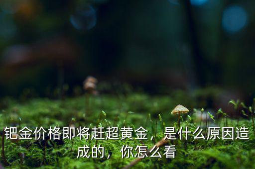 鈀金價格即將趕超黃金，是什么原因造成的，你怎么看