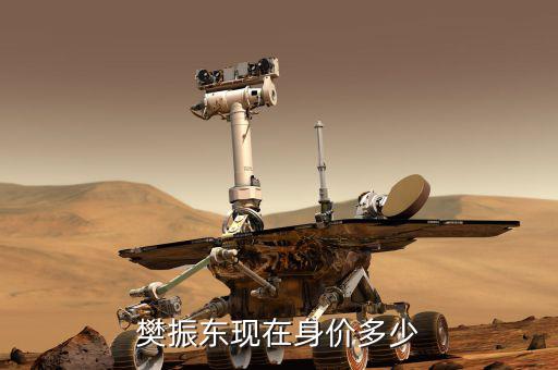 樊振東現在身價多少