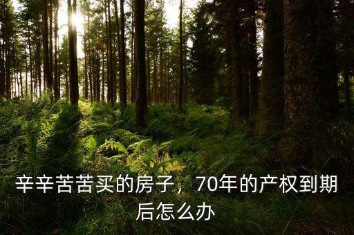 房子的產權到期怎么辦,辛辛苦苦買的房子