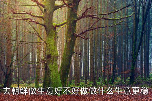 去朝鮮做什么生意最掙錢,做什么生意更穩